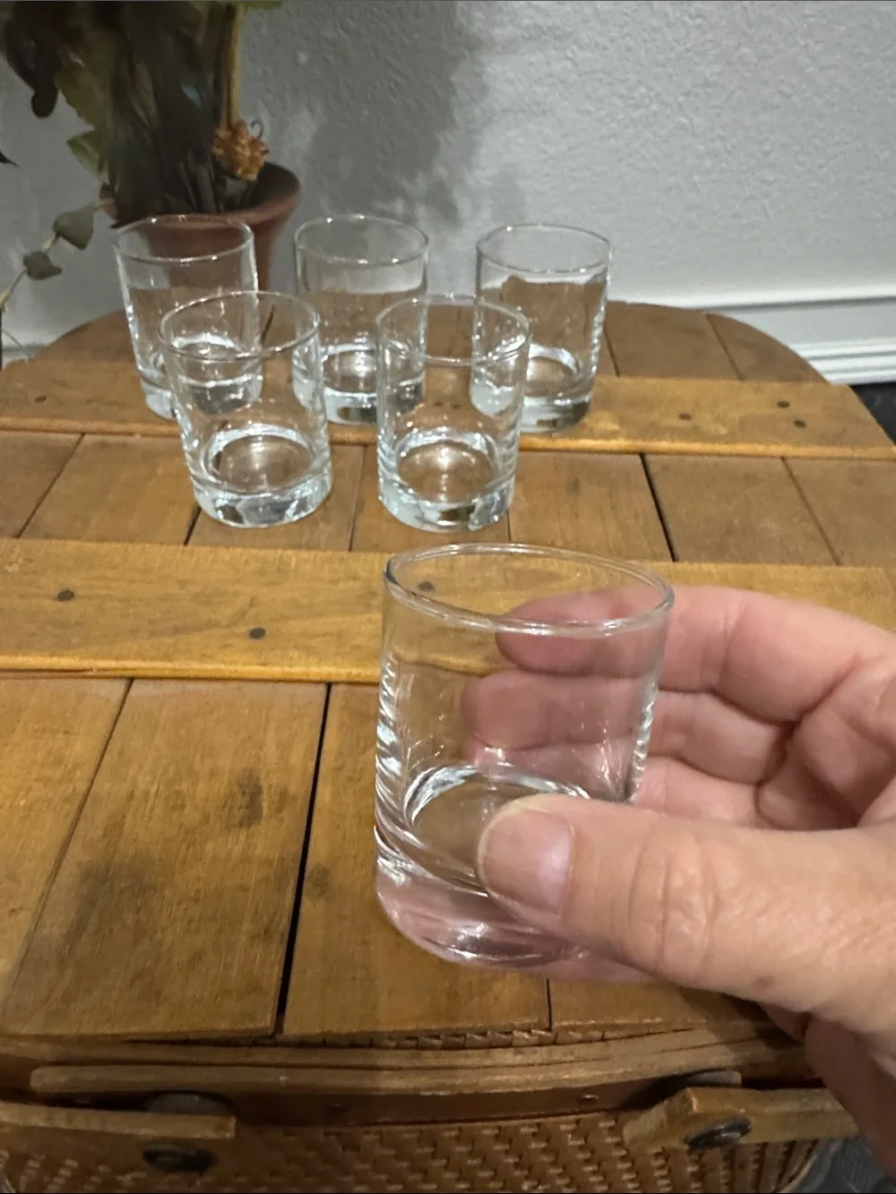 Classic Clear Shot Glasses - Set of 6